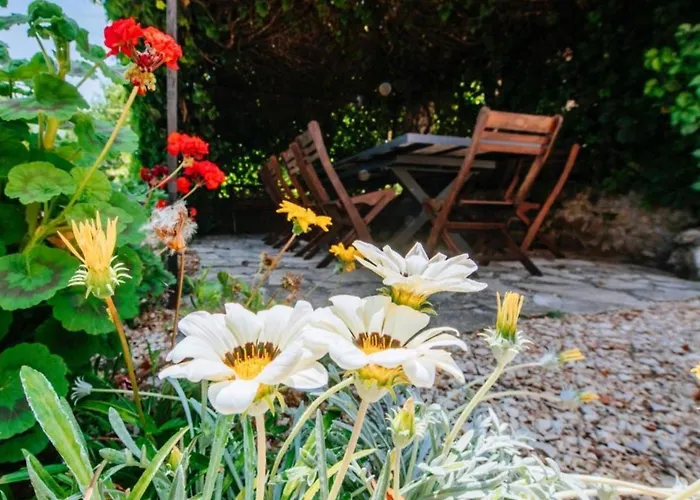 Rokov Дом отдыха *